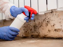 Why You Should Choose Our Mold Remediation Services in Dayton, OH